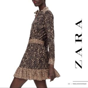 Zara Cheetah smocked Long Sleeve Dress